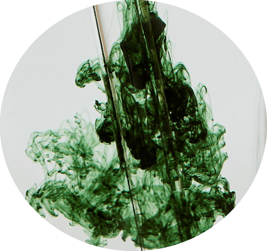 Liquid Chlorophyll Supplement Swedish Mylk 