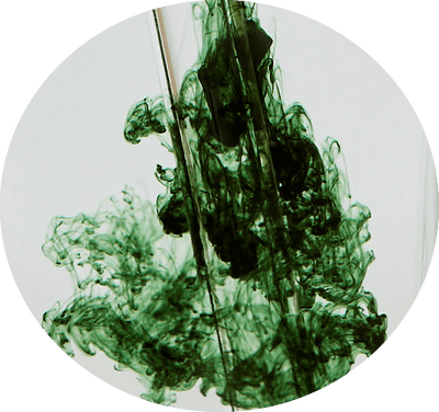 Liquid Chlorophyll Supplement Swedish Mylk 